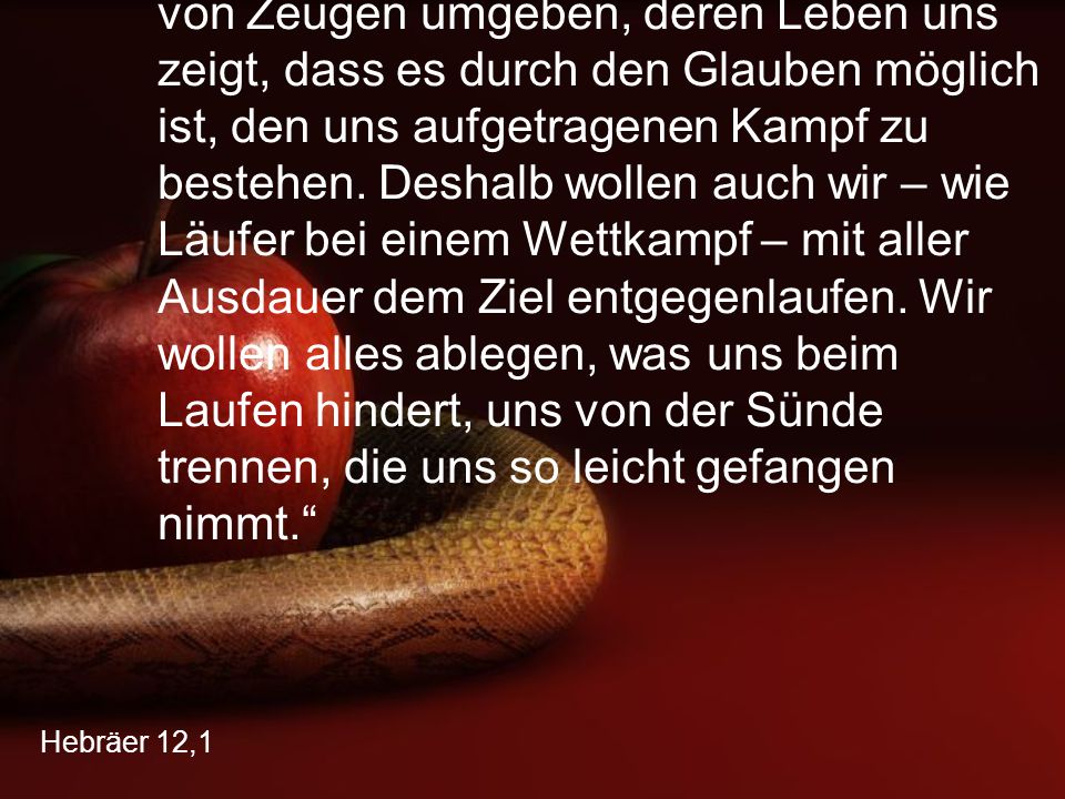 Noopept der Einfluss auf die Potenz